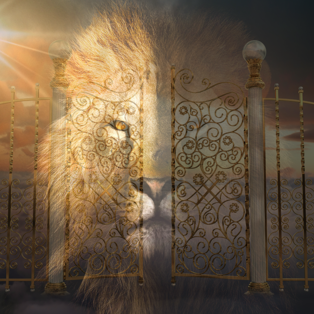 135: Lion's Gate, New Moon in Leo & Card Reading - New Moon Musings