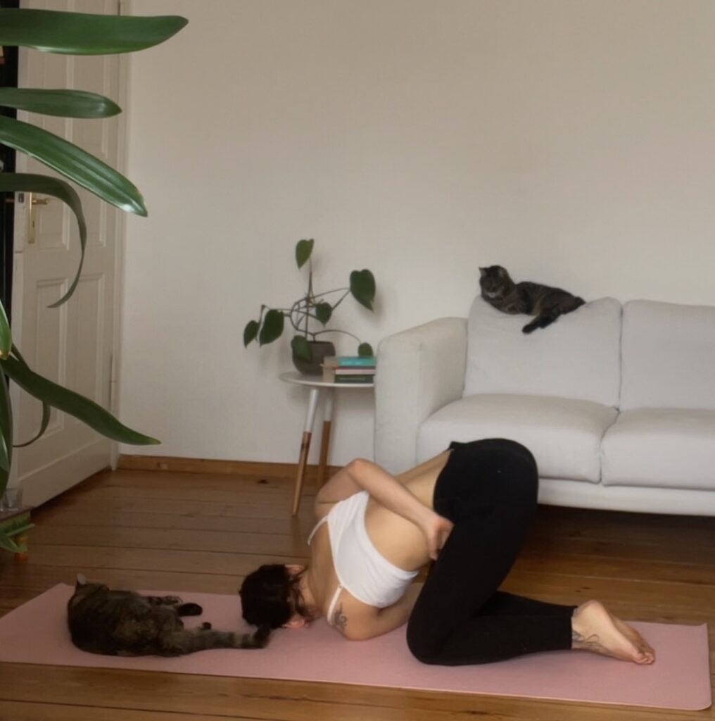 Woman practicing yoga on her pink yoga mat. One of her cats is laying on the yoga mat and the other sits on the couch.