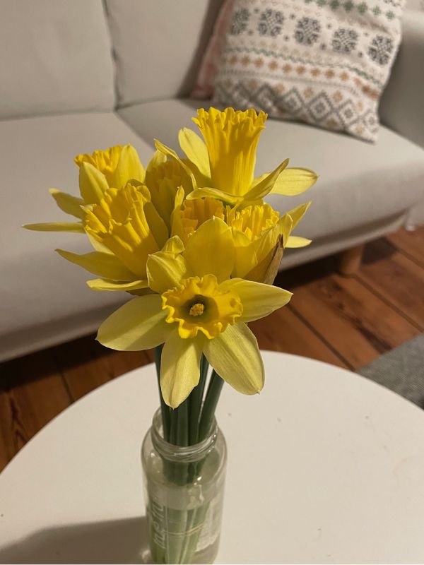 A bouquet of daffodils on a small white table in the living room.