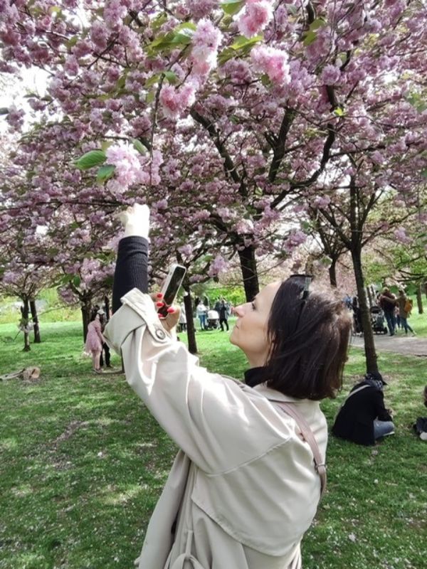 Woman with brunet hair, wearing a beige trench coat, holding a twig of a cherry tree in her left hand and with her right hand holding her smartphone, taking a picture of the cherry blossoms