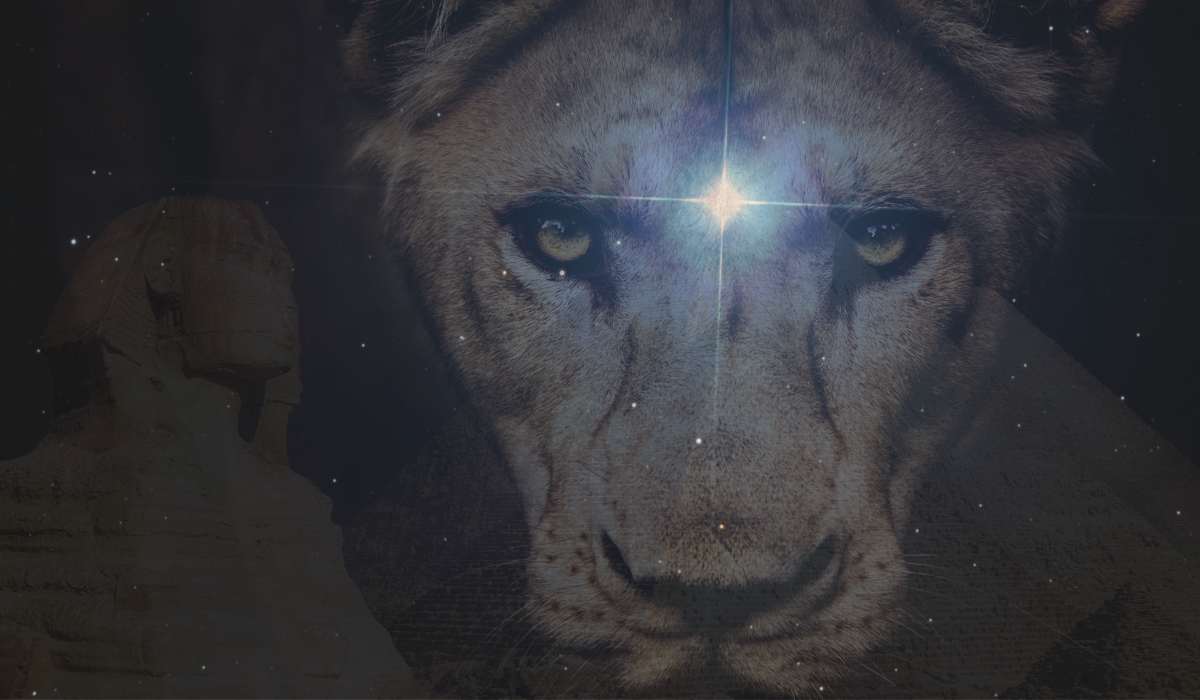 The head of a lioness, in the backround the sphinx and the pyramids. Between the eyes of the lioness there's a blue star, representing the third eye and the star system sirius