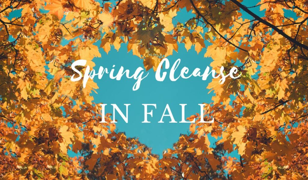 Spring Cleanse In Fall: Why It Is So Powerful