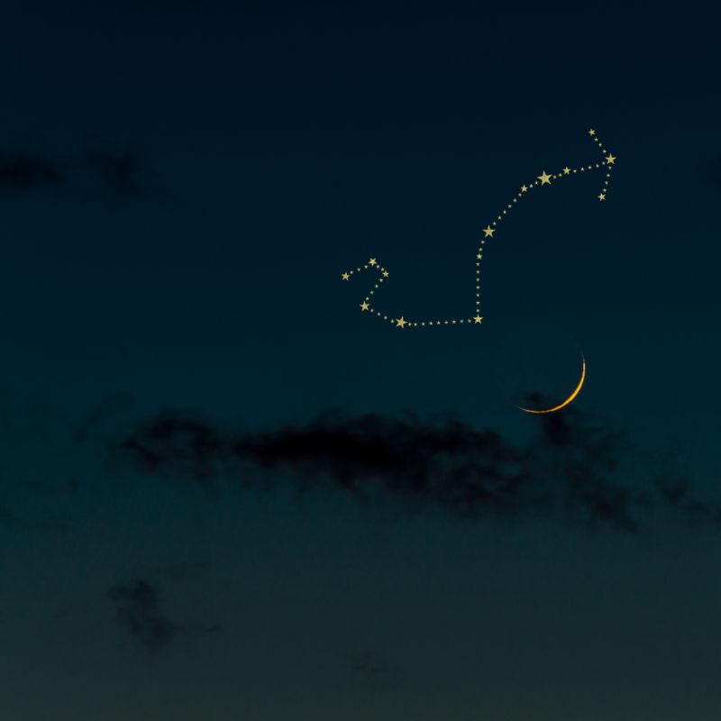 083 New Moon Musings - New Moon in Scorpio- Unravelling; Manifesting Heart's Desires; Time for Self-Pleasure & Deep Connection - Natural Woman Alchemy - Nadine Kuehn