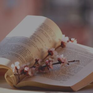 087: Poetry Lounge No. 9 - Kenneth Slessor; Christopher Poindexter; Geoffrey Chaucer - Natural Woman Alchemy - Nadine Kuehn