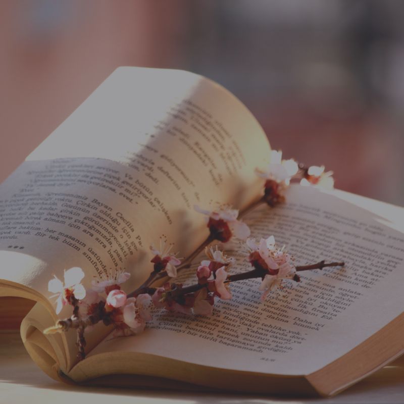 087: Poetry Lounge No. 9 - Kenneth Slessor; Christopher Poindexter; Geoffrey Chaucer - Natural Woman Alchemy - Nadine Kuehn