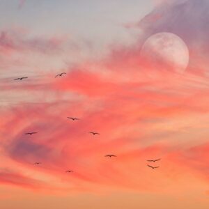Full Moon Musings - Full Moon in Gemini, Partial Lunar Eclipse- Nadine Kuehn - Natural Woman Alchemy.png