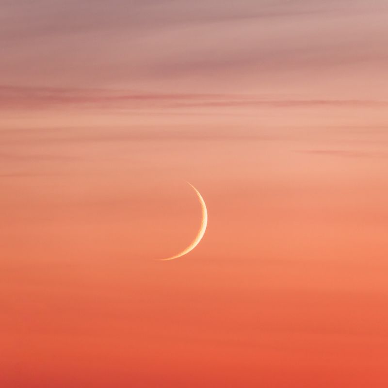 New Moon in Aries & Energy Update April & Reading - New Moon Musings - Natural Woman Alchemy - Nadine Kuehn