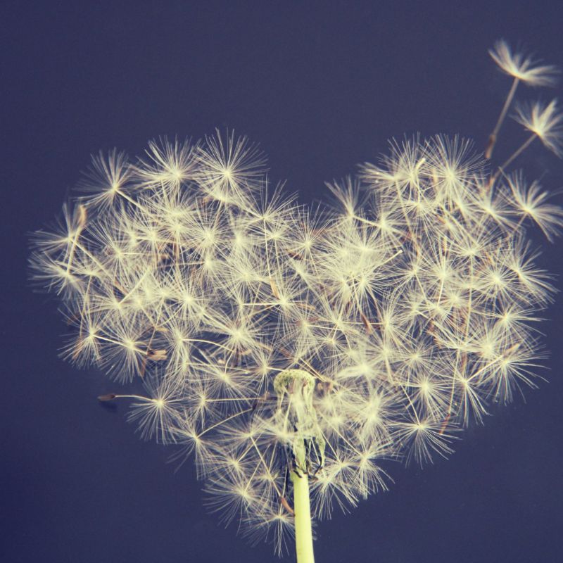 165 A Heart Wide Open - Natural Woman Alchemy Podcast - Nadine Kuehn