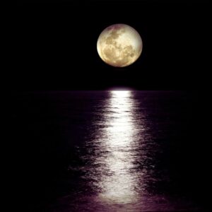 Full Moon Musings - Full Moon in Cancer & Building a Strong Emotional Foundation Natural Woman Alchemy - Nadine Kuehn