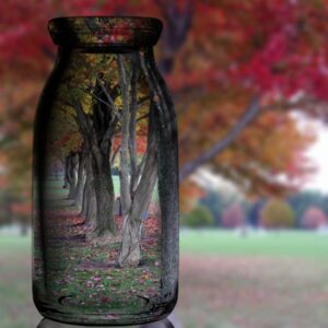 It's All a Matter of Perspective - Self Love Sundays - Natural Woman Alchemy Podcast - Nadine Kuehn