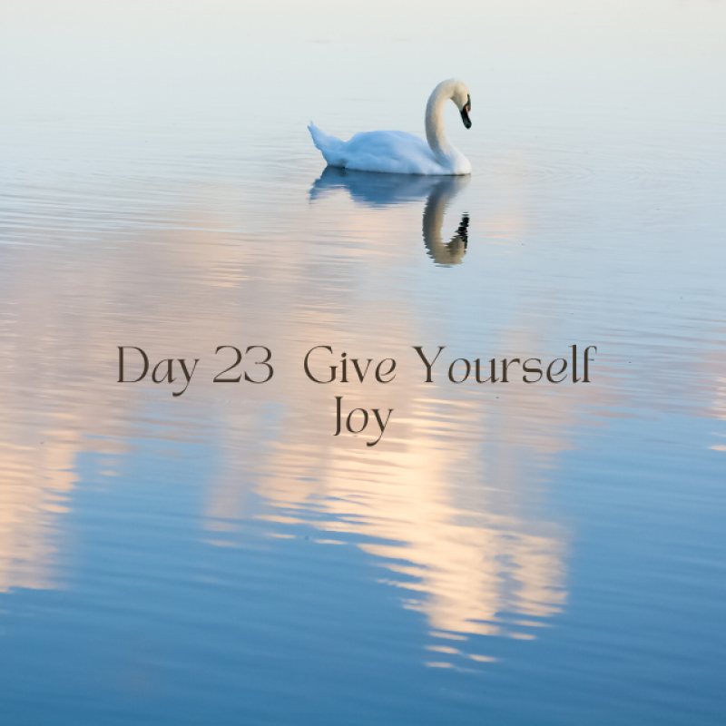 A month of grace Day 23 - Give yourself Joy