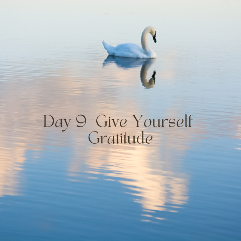 Day 9 - Give Yourself Gratitude - A Month of Grace - Nadine Kuehn