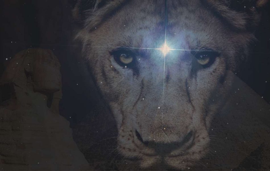 The head of a lioness, in the backround the sphinx and the pyramids. Between the eyes of the lioness there's a blue star, representing the third eye and the star system sirius